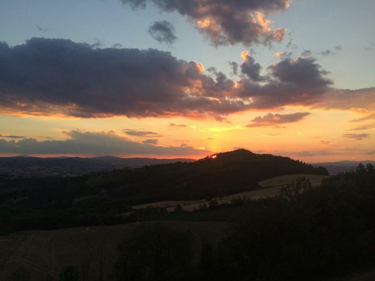 Umbria, "Casa Sagrantina" Con Piscina E Pergolato Apartment Collazzone Екстериор снимка