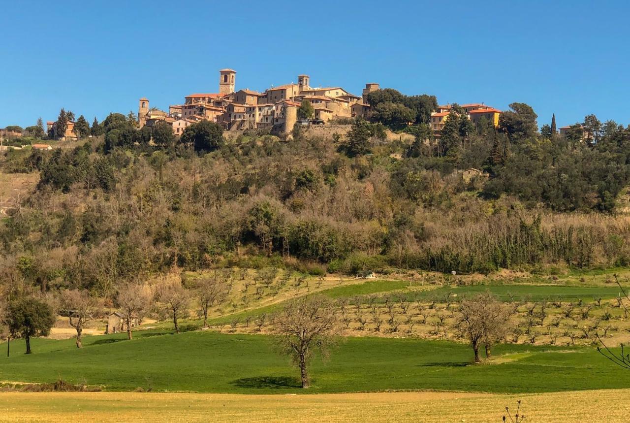 Umbria, "Casa Sagrantina" Con Piscina E Pergolato Apartment Collazzone Екстериор снимка